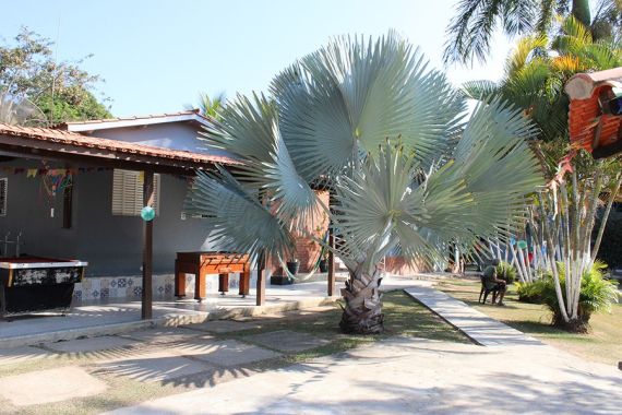 Onde Pedir Internação Involuntária? Entenda Como Funciona o Processo no Brasil